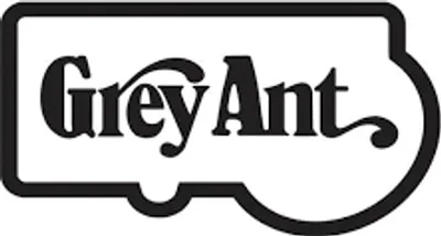 Grey Ant